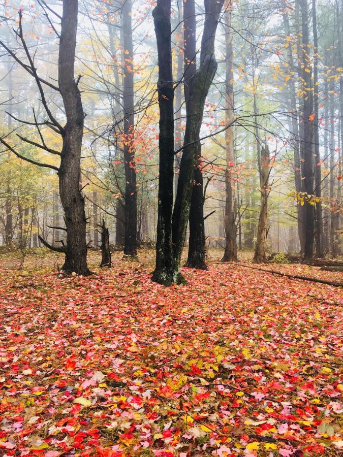Gather Greene Coxsackie Zewnętrze zdjęcie